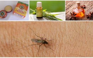 Overview of folk remedies for mosquitoes and midges in nature