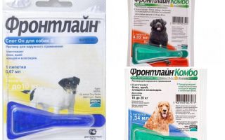 Drops frontline from fleas for dogs