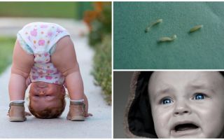 Symptoms and treatment of pinworms in a child