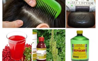 How to destroy lice and nits at home