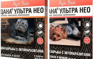 Dana Ultra Neo drops from fleas for cats and dogs