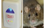 Pest Redzhet Ultraschall Repeller Nagetiere und Insekten