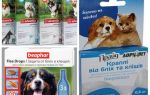 Floh- und Zeckenmittel für Hunde