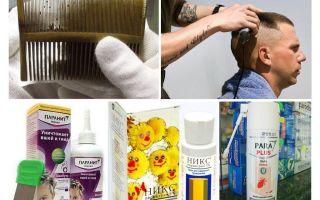 How and what to get head lice in children