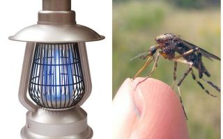 Electrolamp against mosquitoes Terminator