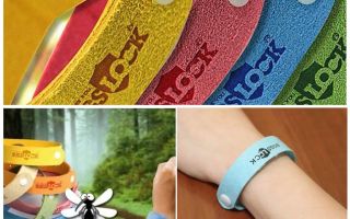 Mosquito Bugslock Bracelet