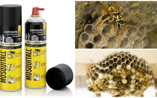 Mosquitall aerosol iz ose i osa gnijezda