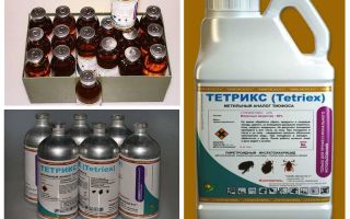 Tetrix remedy for bedbugs