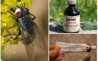 Remedy for gadflies and horseflies for humans