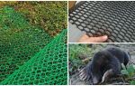 Mole Nets