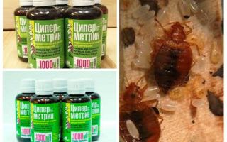 Cypermethrin from bedbugs