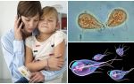 Wie behandelt Giardia bei Kindern von Dr. Komarovsky