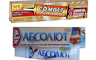 Best Gels for bedbugs: Global, Absolute, Fipronil, etc