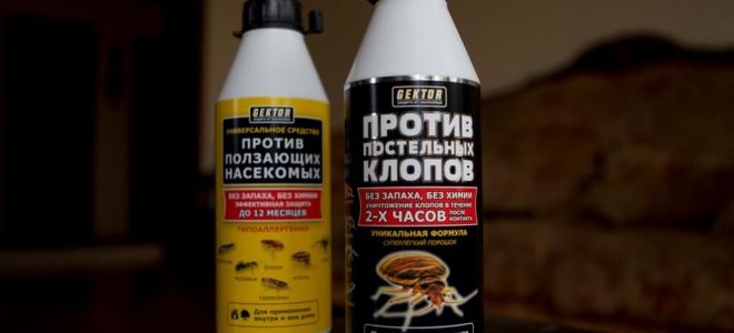 GEKTOR against bed bugs and crawling insects