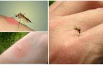 Why mosquitoes bite some people more than others