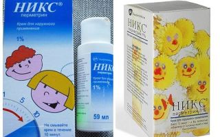 Knicks remedy for lice and nits