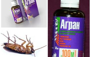 Agran remedy for cockroaches