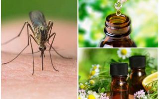 Essential oils from mosquitoes