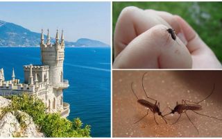 Are there mosquitoes in the Crimea