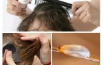 How to comb nits