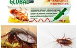 Cockroach Remedy Global (Global)