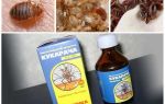 Cucaracha remedy for bedbugs