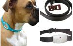 Best flea and tick dog collars