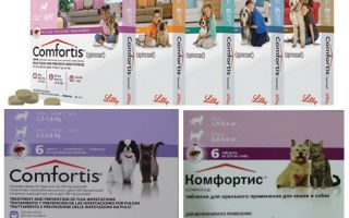 Flea tablets for dogs and cats