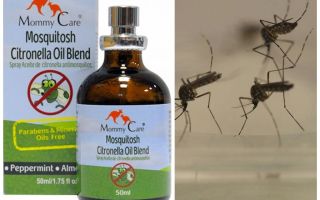 Mommy Care mosquito repellent oil