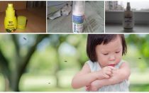 Effective means of mosquitoes for children from 1 year