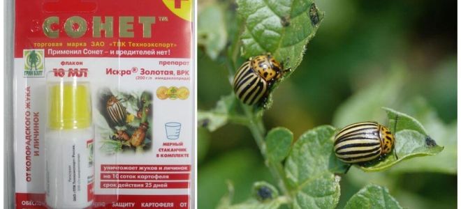 The remedy for the Colorado potato beetle Sonnet