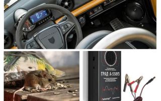 Car repeller rats and mice