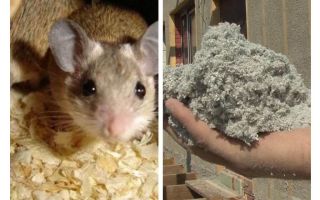 What kind of insulation do not eat mice