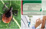 Tick-borne encephalitis vaccine