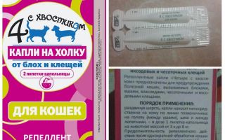 Капки на холката 4 с опашка за котки от бълхи