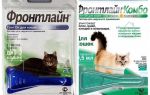 Frontline flea drops for cats