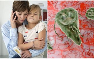 Giardiasis in children: symptoms and treatment