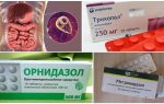 Най-добрите лекарства за лечение на Giardia при възрастни