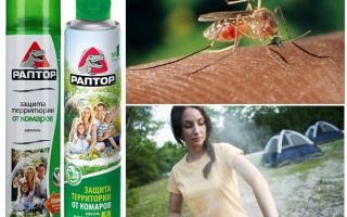 Protegir el territori dels mosquits Raptor