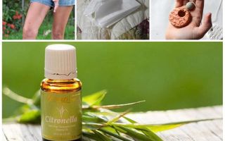 Citronella essential oil against mosquitoes