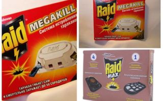 Cockroach Raid: traps, spray, aerosol