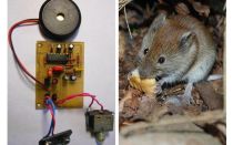 Ultraschall Repeller Ratten und Mäuse mit ihren eigenen Händen