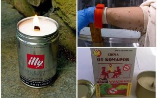 Mosquito candles