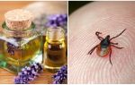 Essential oils against ticks