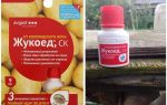 Приложение на бръмбара от картофения бръмбар в Колорадо