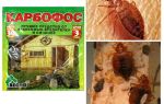 หมายถึง Karbofos จาก bedbugs