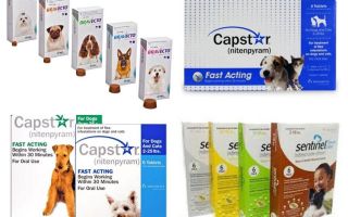 Tablets for fleas and ticks for dogs