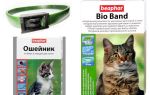 Halsband Beafar von Flöhen für Katzen und Hunde