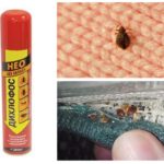 Dichlorvos from bedbugs