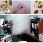 Hot mist from bedbugs